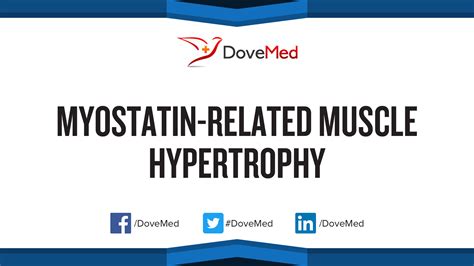 Myostatin Related Muscle Hypertrophy In Adults