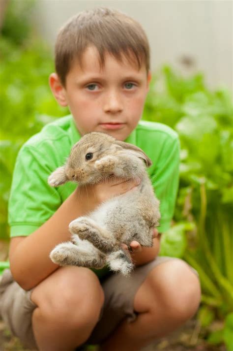 Little Boy With A Rabbit In His Hands Stock Photo Image Of Boys Lawn