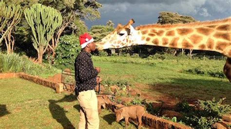 From Kenya With Love This Christmas The Safari Collection