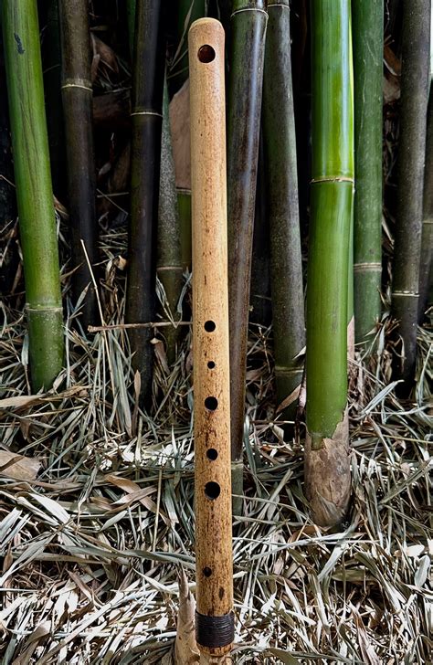 Side Blown Flute Arabian Bamboo Body Exotic Scale Erik The Flutemaker