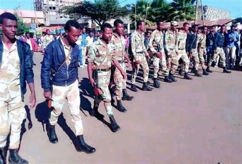 Oromia Police Killed Near Benishangul Gumuz As Violence Continues