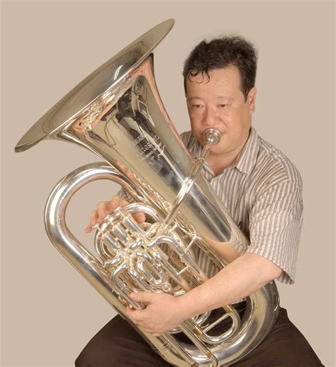 The Structure Of The Tubathe Tuba Can Have Various Styles Musical