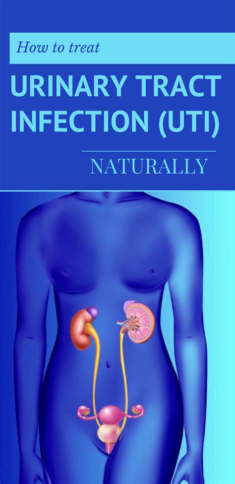 How To Treat Urinary Tract Infection UTI Naturally Page Of Urinary Tract Infection