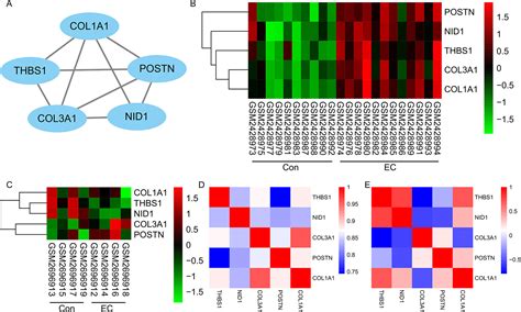 Role Of Col3a1 And Postn On Pathologic Stages Of Esophageal Cancer