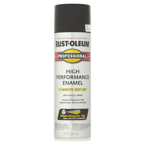 Black Rust Oleum Professional High Performance Gloss Enamel Spray