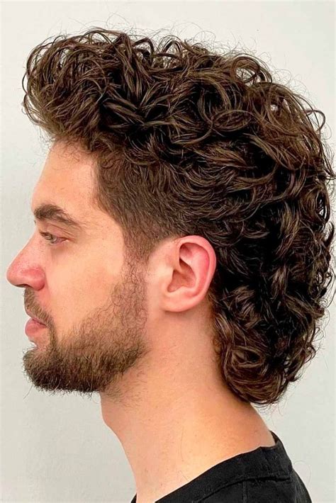 Types Of Curly Hair For Men Home Design Ideas