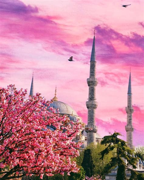 Istanbul Turkey Travel Beautiful Places Taj Mahal