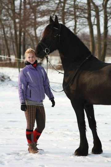 Of govan on the river clyde. Stoere fries Amalia in de sneeuw • Bokt.nl