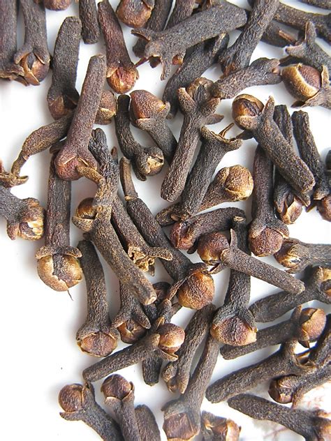 Cloves Clove Oil And Eugenol Culinary And Medicinal Uses Remedygrove