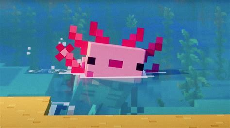 Minecraft Axolotl 2d