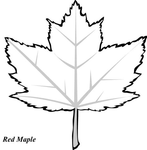 Leaf Pattern To Trace Coloring Home
