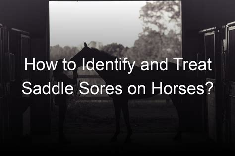 How To Identify And Treat Saddle Sores On Horses Equestrian Shop Online
