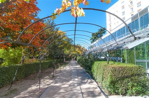 Sunny Beautiful Garden Walkway Featuring Metal Vine Growing Frame