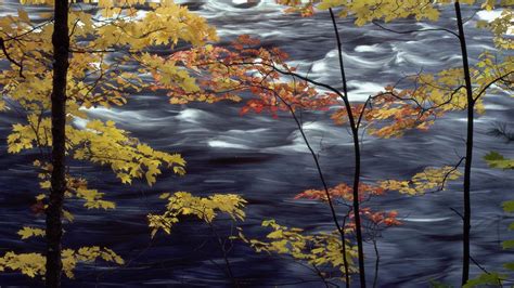 🥇 Autumn Season Lakes Colors Wallpaper 62508