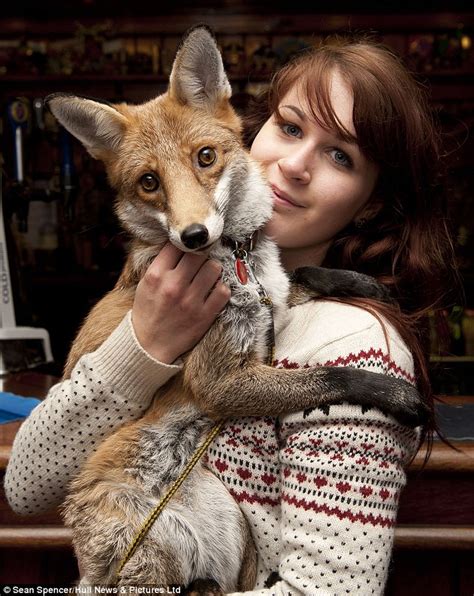 Friendly Fox Reared By Landlord Is Barred From His Pub After A Month