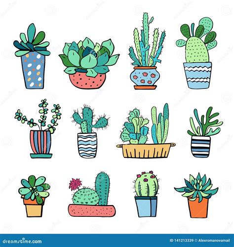 Cactus And Succulent Plants In Flowerpots Vector Hand Drawn Outline