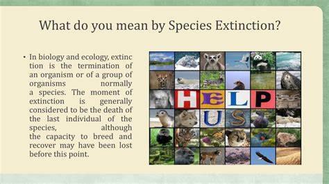 Ppt Species Extinction Reasons And Effects Powerpoint Presentation