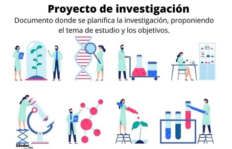 Estructura De Un Proyecto De Investigacion La Guia Definitiva Images