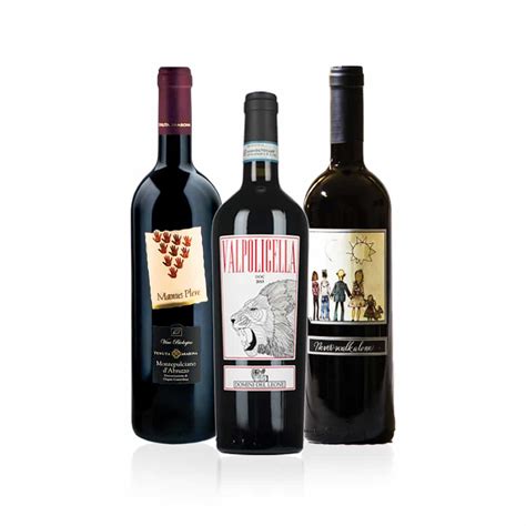 Good Italian Wine For T Premier Selections Wine T Basket By