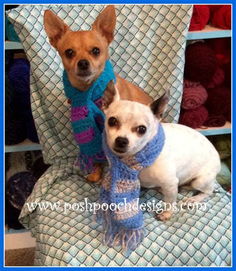 Posh Pooch Designs Dog Clothes International Crochet Day Dog Scarf Pattern