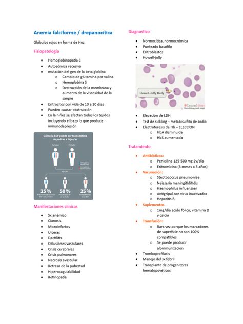 Anemia Falciforme Pdf Tejido Biología Fluidos Corporales