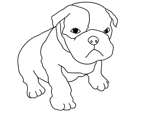 American Bulldog Outline Sketch Coloring Page