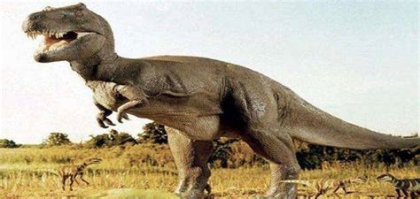 معلومات عن الديناصور ترايسيراتوبس