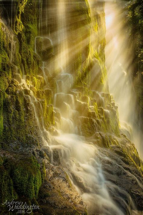 ~~proxy Falls Waterfall And Sunbeams Cascades Oregon By Andrew