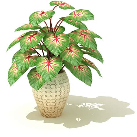 Large Potted Indoor Plant 3d Model