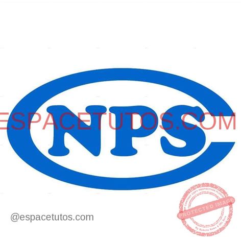 Télédéclaration CNPS Cameroun Comment Faire Une Télédéclaration CNPS
