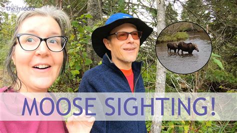 Isle Royale Moose Encounter S2e18 Youtube