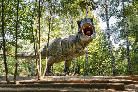 In this blog post, we're going to look at some indisputable proof why humans can't be meat eaters. It Seems There Were Too Many Meat-Eating Dinosaurs - This ...