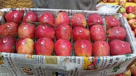 Kashmiri A Grade Kashmir Delicious Apple Packaging Size 20 Kg At Rs
