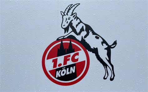 Köln: FC verzichtet auf Esser - Radio Erft