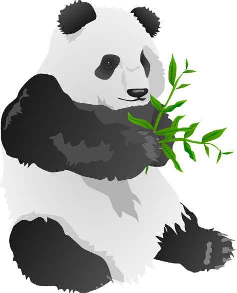 Panda Bear Clip Art At Vector Clip Art Online