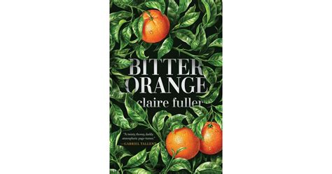 Bitter Orange By Claire Fuller Most Underrated Books Of 2018