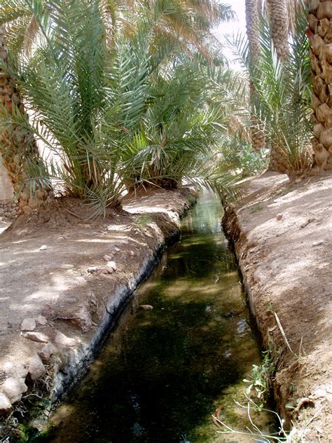Water systems in the Arab world. From Falaj to ...