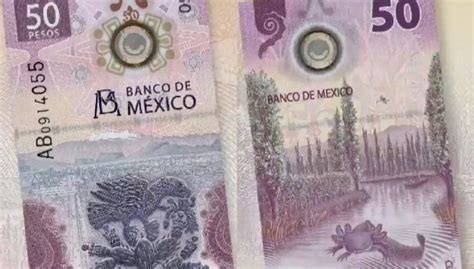 Presenta Banxico nuevo billete de 50 pesos Despertar México