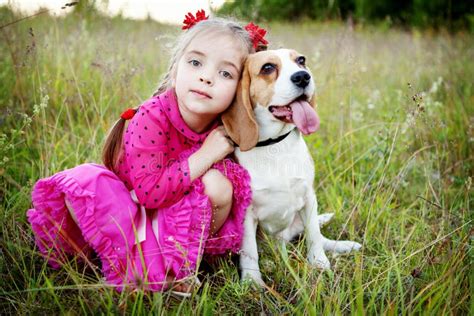 Girl With Dog Stock Image Image Of Animal Care Small 56577087
