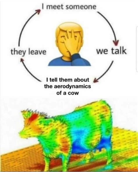 Aerodynamics Of A Cow Intp