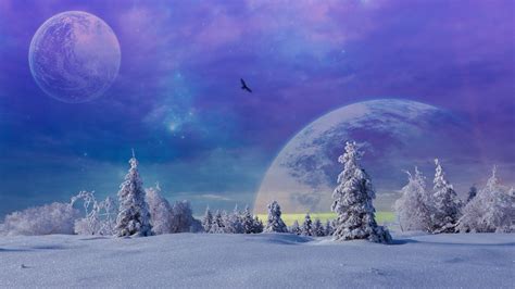 Purple Winter Wallpapers Top Free Purple Winter Backgrounds