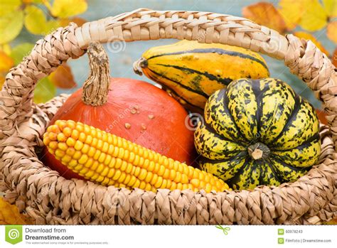 Pumpkin Fruits As Decoration At Fall Stock Image Image