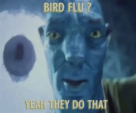 Avatar Meme Bird Flu Yeah They Do That Staring Avatar Guy Know