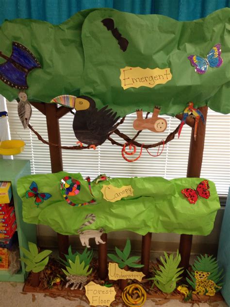 Layers Of The Rainforest Rainforest Preschool Rainforest Classroom