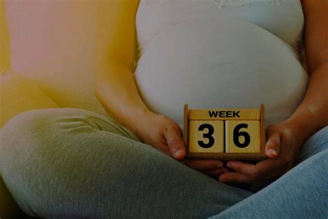 How To Navigating The 36th Week Of Pregnancy Your Journey To