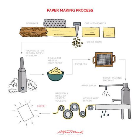 A Closer Look At The Paper Production Process
