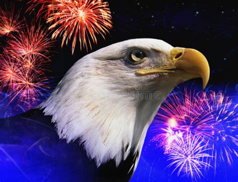 Patriotic Symbols Usa Eagle Stock Photos Download 78 Royalty Free Photos