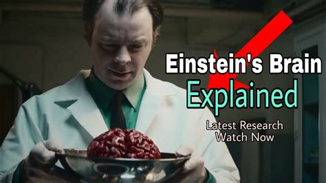 Einstein Brain Vs Normal Brain Surprising Fact Revealed Youtube