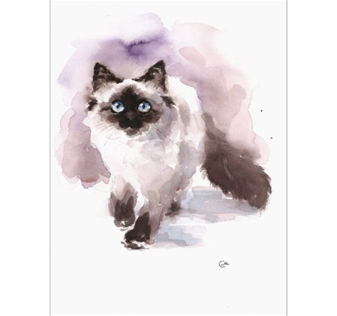 Ragdoll Cat Original Watercolor Painting 9 X1 2 Inches Pets