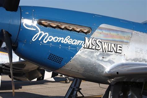 Beautiful Warbirds P51 Mustang Nose Art Mustang